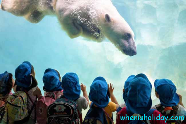 kids watching polar bear