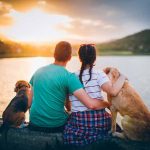 pet-owners-independence-2
