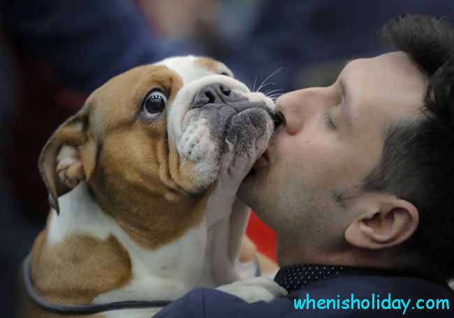 man kissing a bulldog
