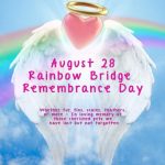 Rainbow-Bridge-Remembrance-Day-3