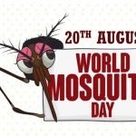 World Mosquito Day in [year]