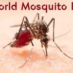 World-Mosquito-Day-2