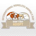 international-homeless-animals-day-cat-and-dog-1