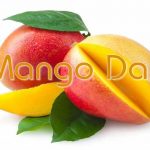 mango-day-3