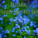National Forget Me Not Day in [year]
