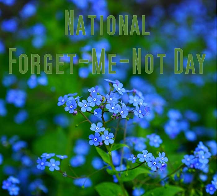 National Forget Me Not Day in 2024