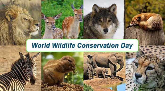World Wildlife Conservation Day in 2024