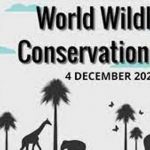 wildlife-conservation-day-3