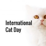 International-Cat-Day_ss_560542342