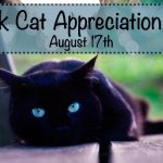 🐈  Black Cat Appreciation Day in [year]