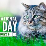 🐈 International Cat Day in [year]