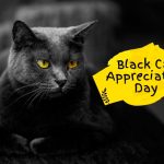 🐈 Black Cat Appreciation Day in [year]