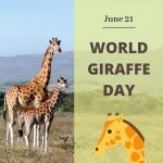 world-giraffe-day-3