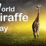 world-giraffe-day-4