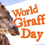 world-giraffe-day-5