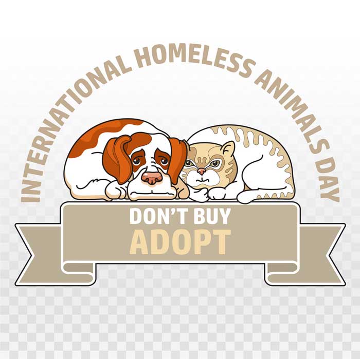 Internationaler Tag der obdachlosen Tiere im Jahr 2022