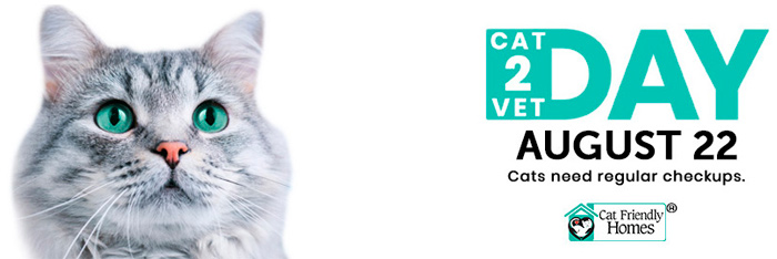 🐈 Nationaler Bring-deine-Katze-zum-Tierarzt-Tag im Jahr 2022