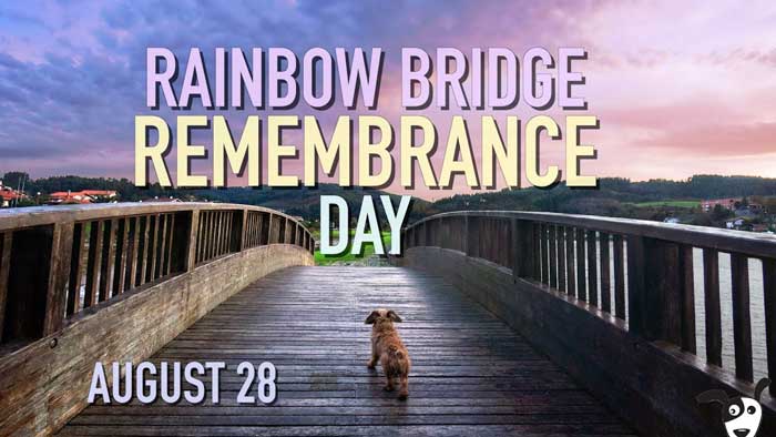 Regenbogenbrücken-Gedenktag im Jahr 2022