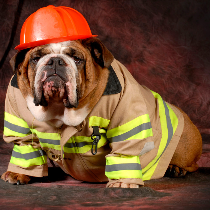 🐕 Haustier-Brandschutztag 2022