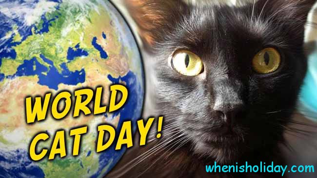 🐱 Wann ist Weltkatzentag 2022
