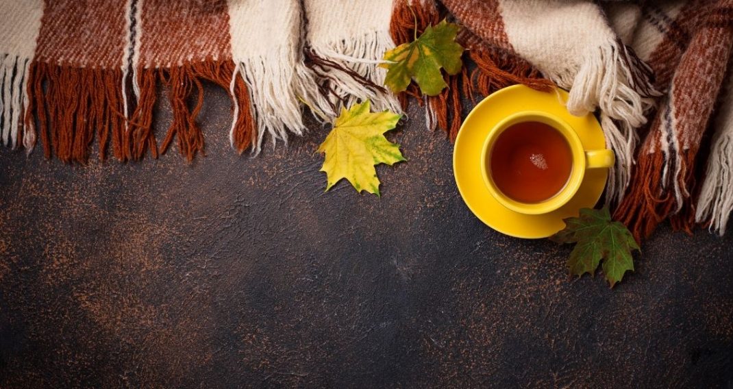 A selection of autumn films