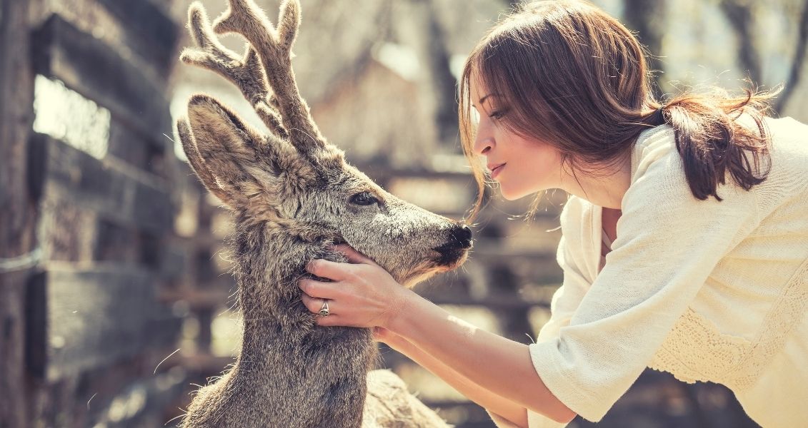 Animal protection week