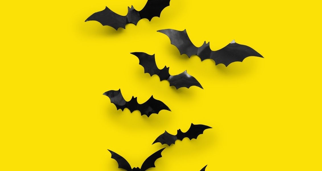 Bat day
