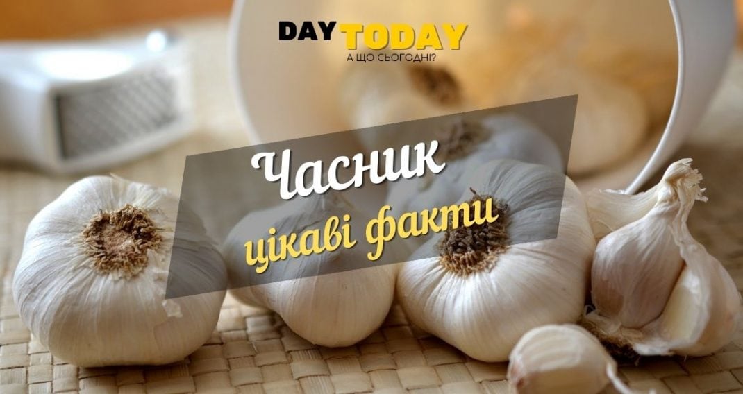 Is garlic a panacea for all diseases?  Interesting facts about garlic