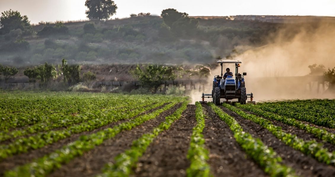 Day of Agricultural Workers of Ukraine