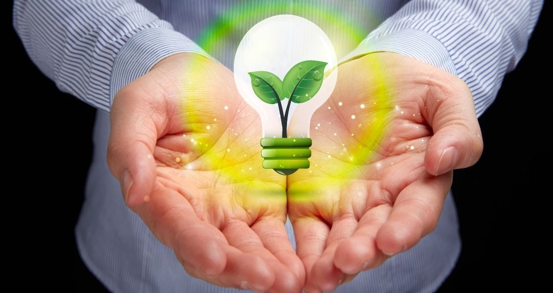Day of environmental education