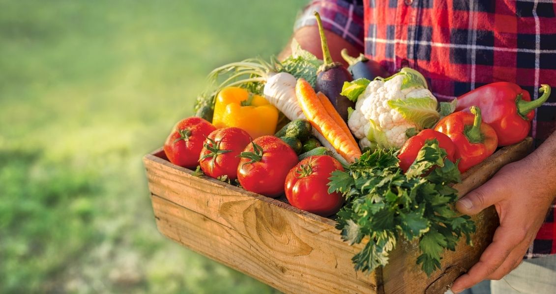 Day of fresh vegetables