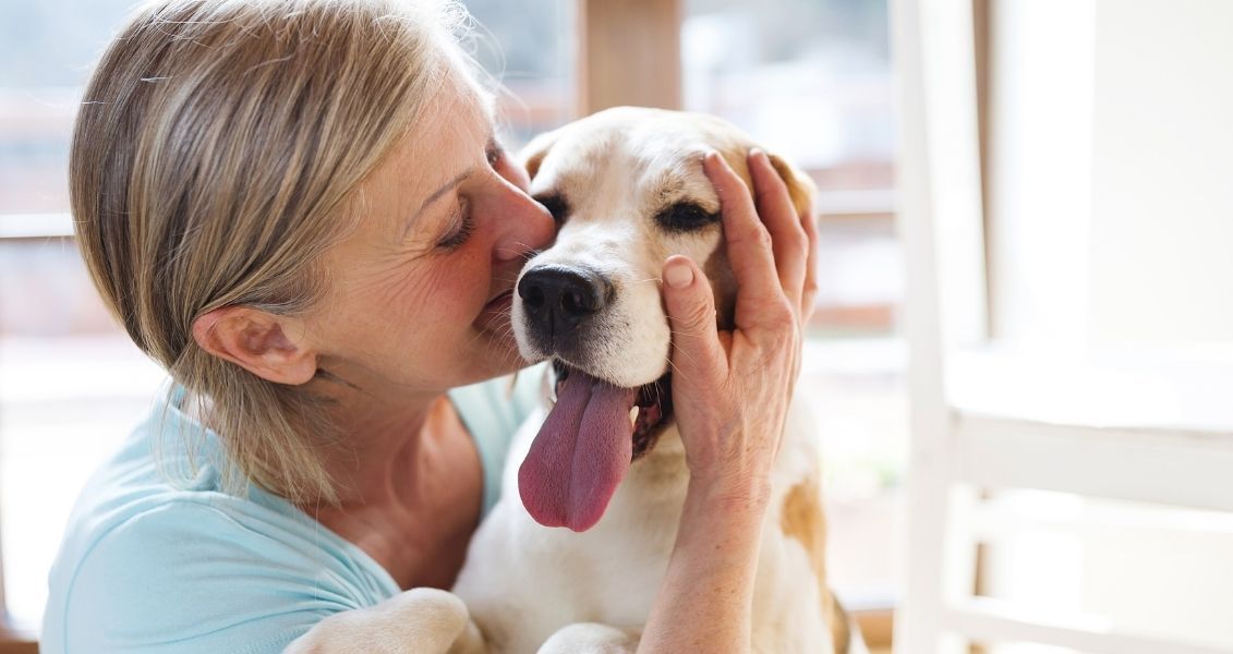 Day of responsible dog breeding