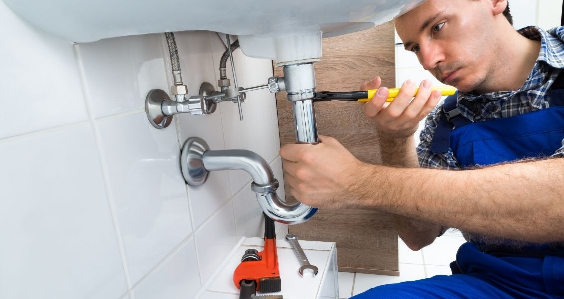 Day of the plumber
