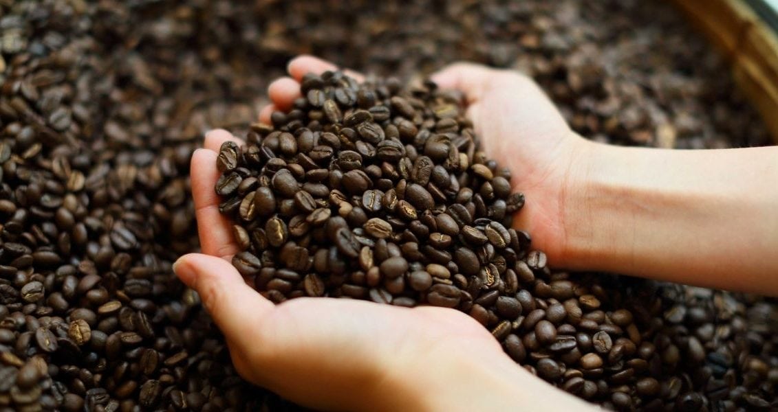 Day of coffee beans