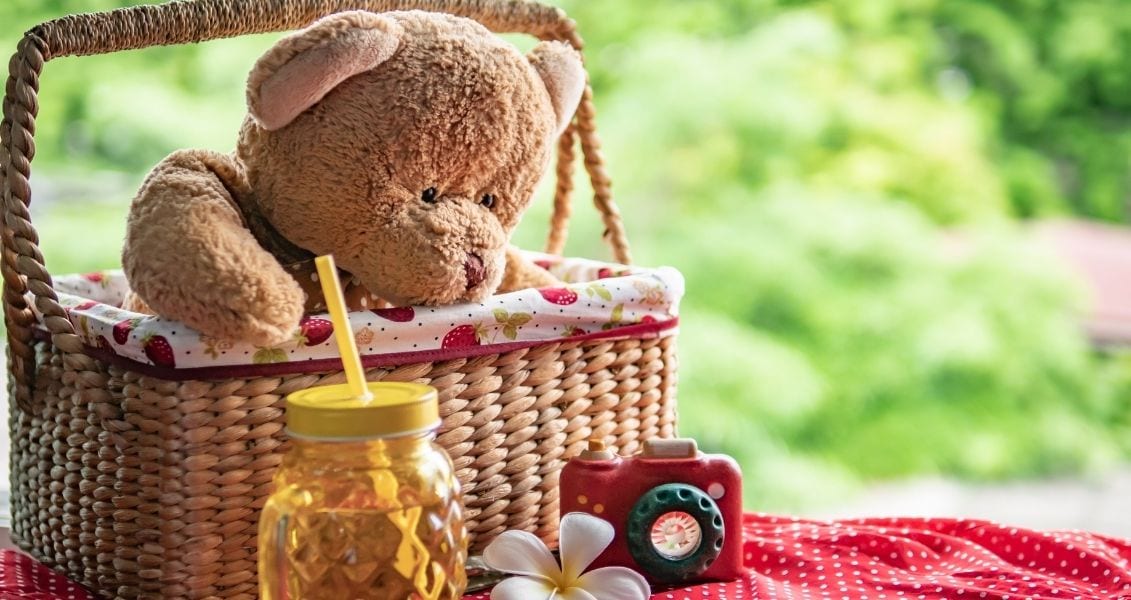 Teddy Bear Picnic Day.