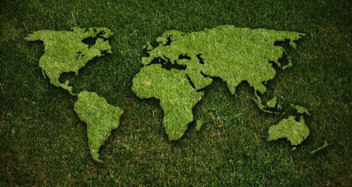 Greenpeace’s birthday
