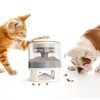 Interactive toy, feeder FunCatapult 0.5L for cats and dogs