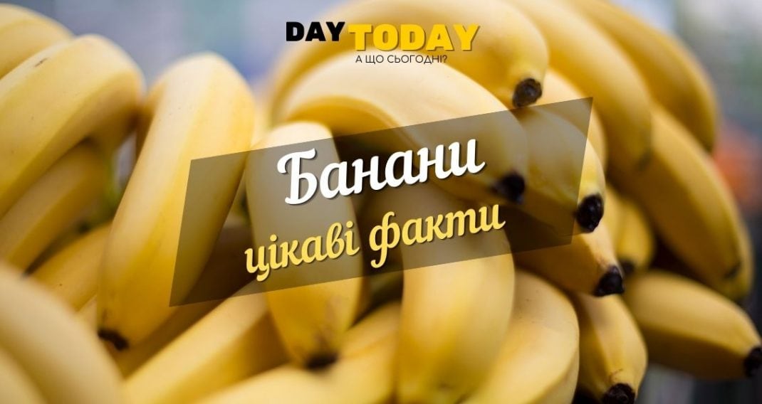 Interesting facts about bananas