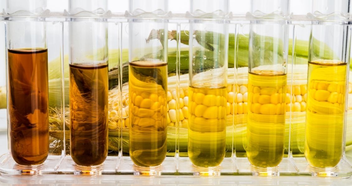 How International Matchmaking Differs from Dating Apps International Biodiesel Day
