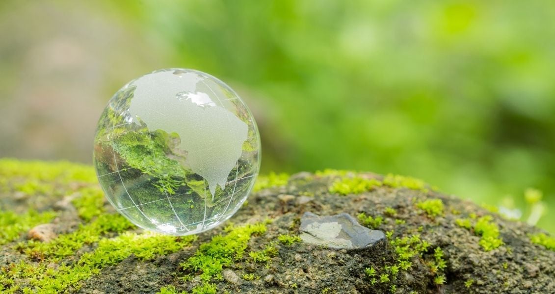International Mother Earth Day