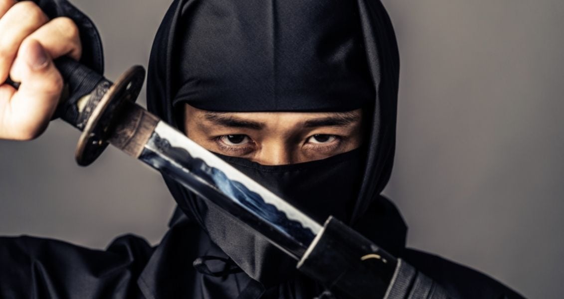 International Ninja Day