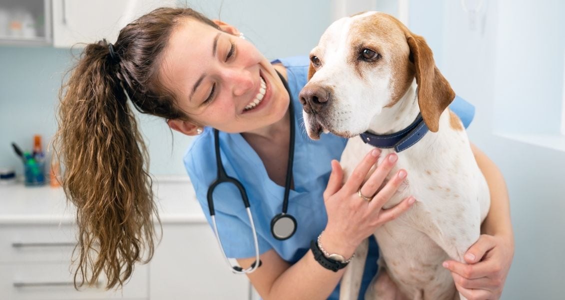 International Day of the Veterinary Nurse