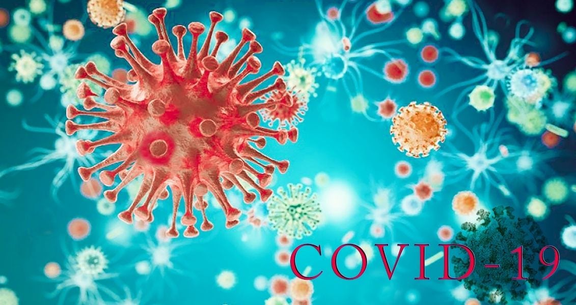 The COVID-19 pandemic