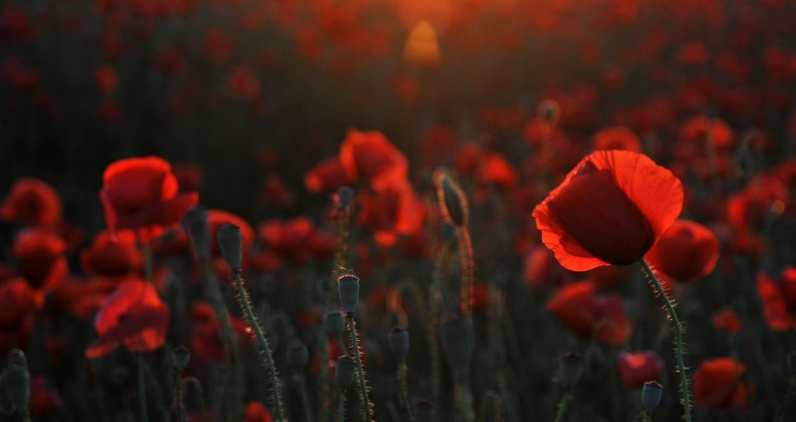 The day of the end of the Second World War