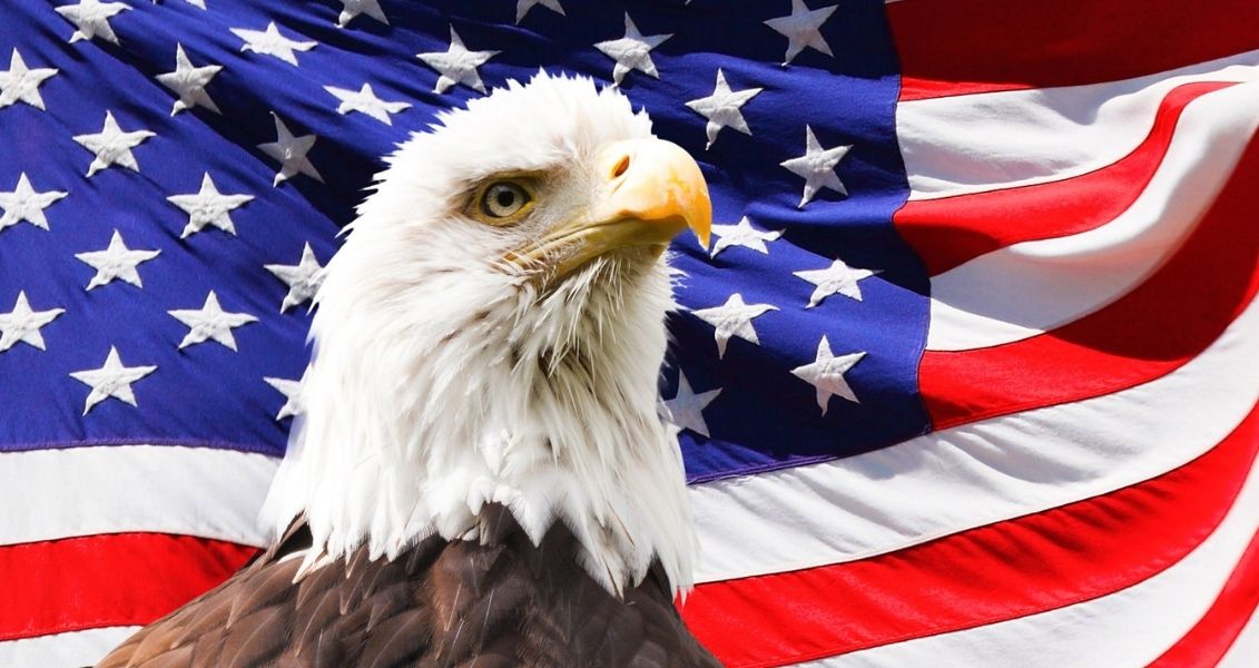 USA Independence Day