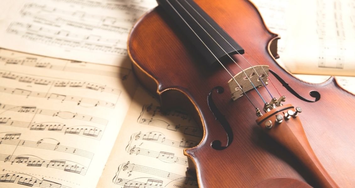10 interesting facts about the violin