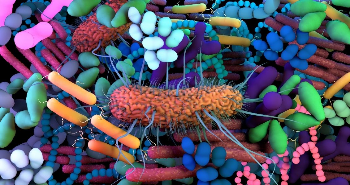 World Microbiome Day