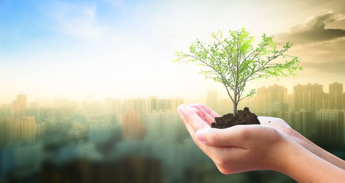 World Habitat Protection Day