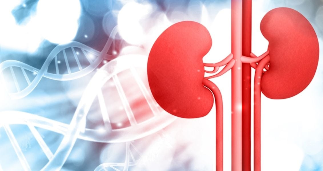 World Kidney Day