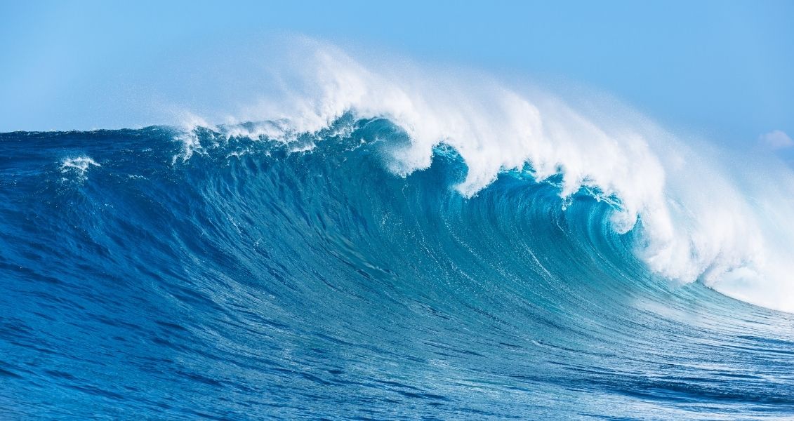 How International Matchmaking Differs from Dating Apps World Oceans Day